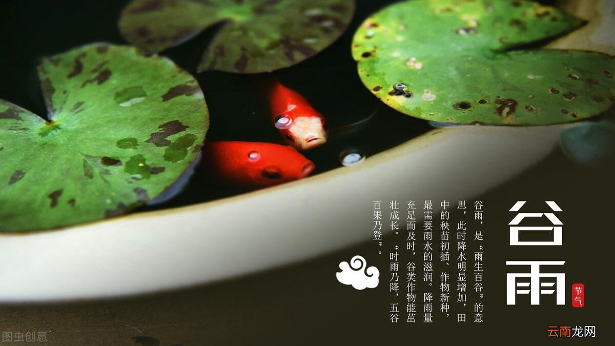 公众号的制作与方法 如何写公众号