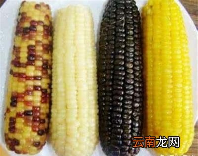 水果玉米和黏玉米有什么区别