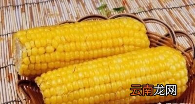 同样是玉米水果玉米和黏玉米有什么区别呢