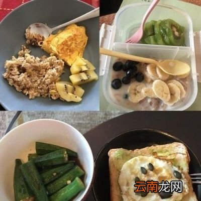 碳水和糖为什么是发胖的元凶