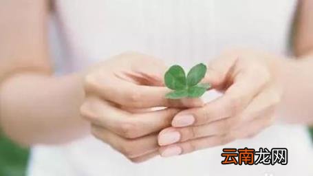 【卵巢】囊肿吃什么好?卵巢囊肿的饮食治疗