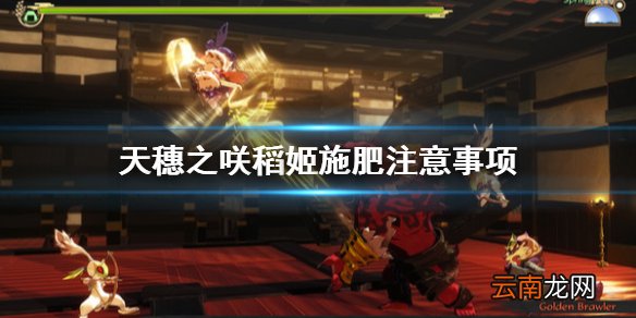 天穗之咲稻姬施肥要注意什么 天穗之咲稻姬施肥注意事项