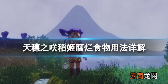 天穗之咲稻姬腐烂食物有什么用 腐烂食物用法详解