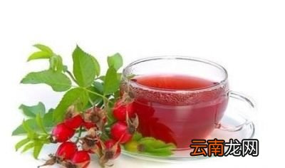 山楂可以一年四季当茶喝吗