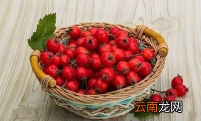 山楂可以一年四季当茶喝吗