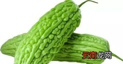 苦瓜的可能禁忌人群