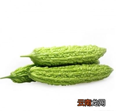 吃苦瓜对于身体有何坏处