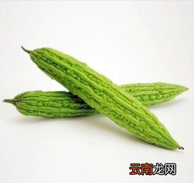 哪些人不适合吃苦瓜
