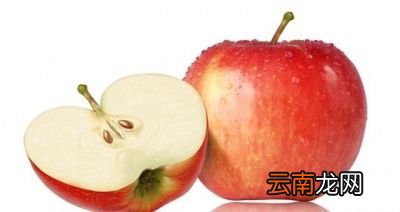 介绍十六种快速减肥食物