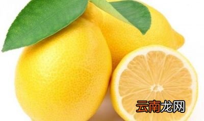 介绍十六种快速减肥食物