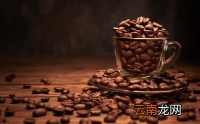 介绍十六种快速减肥食物