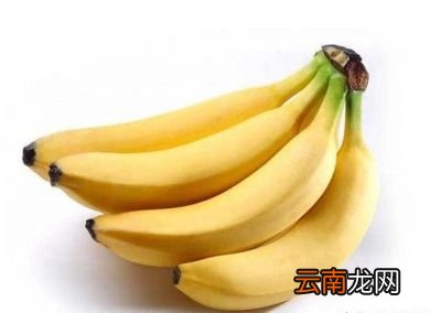 介绍十六种快速减肥食物