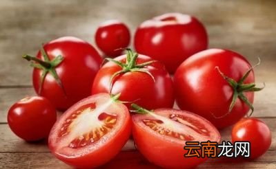 介绍十六种快速减肥食物