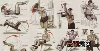 如何安排腹肌训练