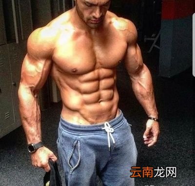 如何安排腹肌训练