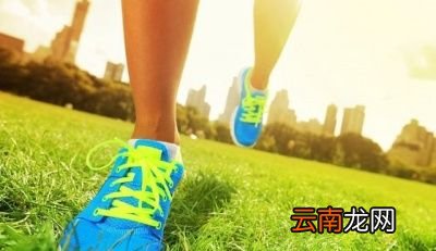 每天运动的好处有益心脏