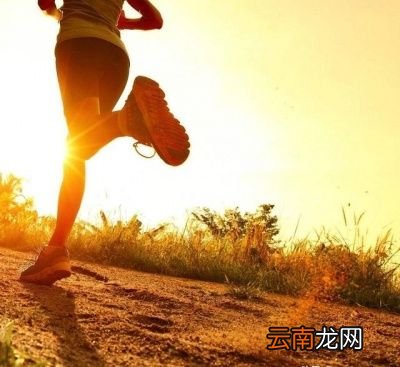 每天运动的好处有益心脏