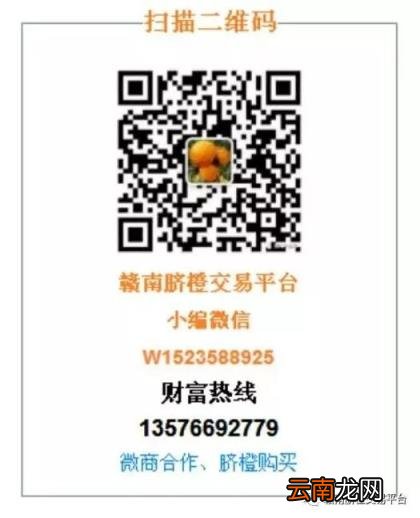 赣南脐橙最甜蜜的味道您吃了吗???