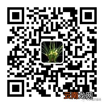 山东省潍坊市2022届高三第一学期期中考试作文解析