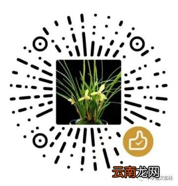 山东省潍坊市2022届高三第一学期期中考试作文解析