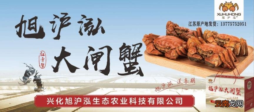 什么情况?兴化一女子签了购车合同,车却“飞” 了......