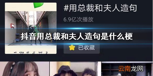 抖音用总裁和夫人造句是什么梗 总裁和夫人造句段子集锦合集