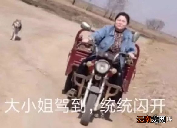 抖音郭言郭语是什么意思 郭言郭语郭老师集美猕猴桃表情包汇总