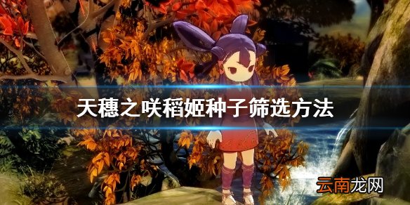 天穗之咲稻姬怎么筛选种子 天穗之咲稻姬种子筛选方法