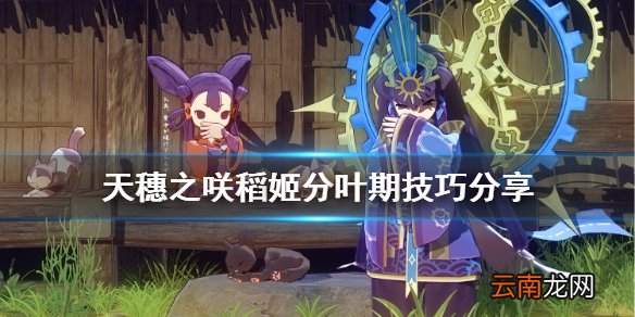 天穗之咲稻姬分叶期有什么技巧 天穗之咲稻姬分叶期技巧分享