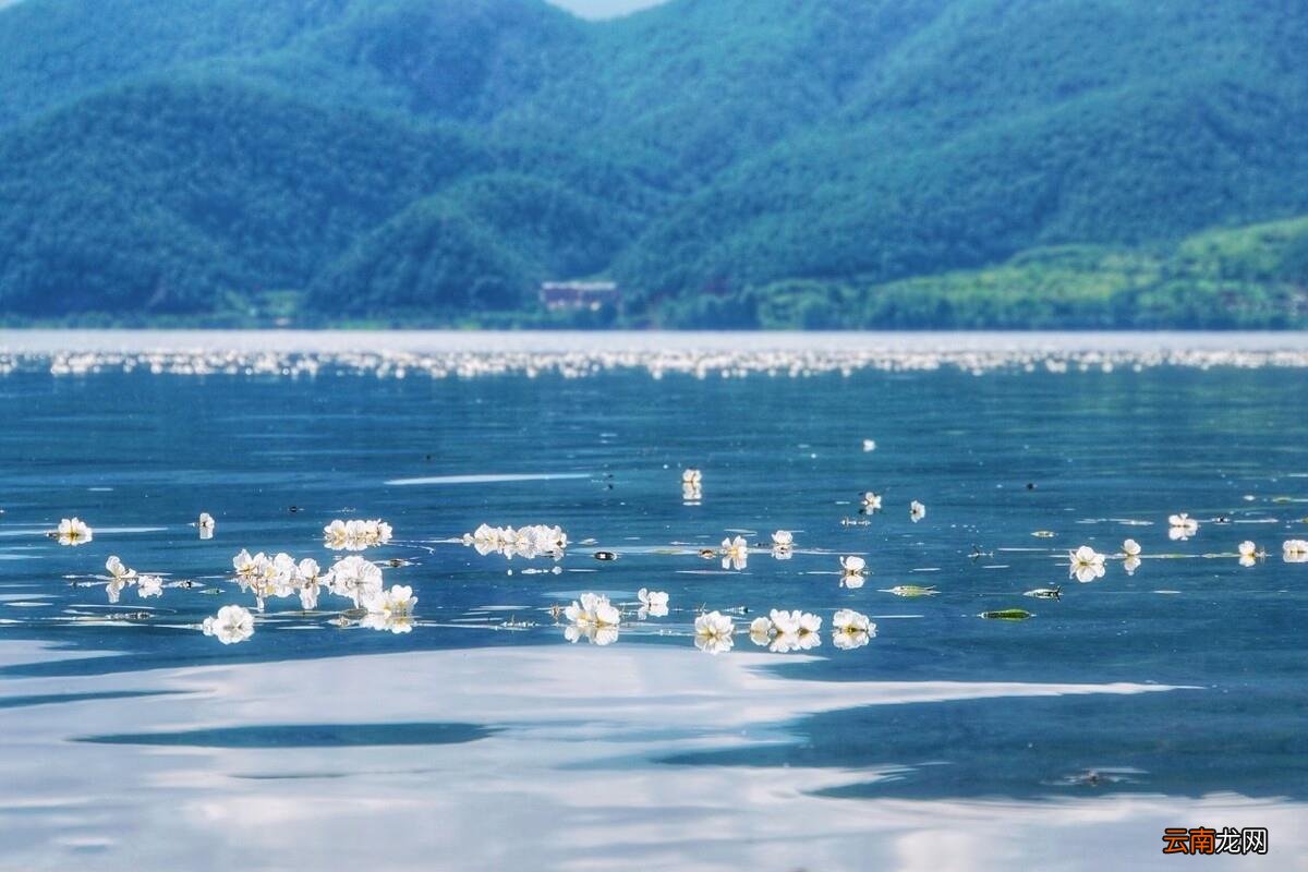 夏天去哪里旅游最好 夏季最适合旅游的地方