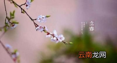 明天立春你知道立春有哪些忌讳吗
