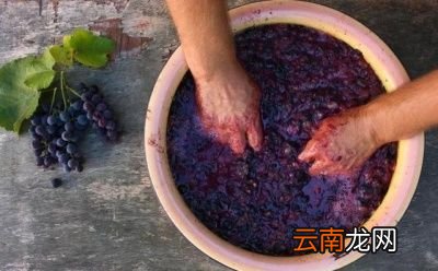 自酿葡萄酒注意事项