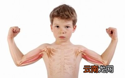 什么样的人慎做俯卧撑