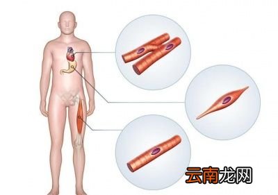 什么样的人慎做俯卧撑
