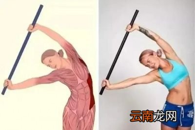 腰为什么会变粗