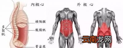 做哪些日常可以对减掉腰部的赘肉有帮助呢