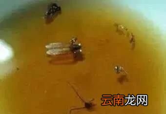 可乐的妙用有哪些