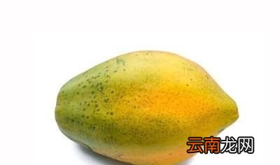 木瓜炖奶怎么做好吃