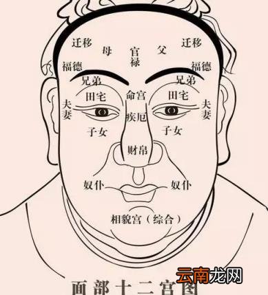 揭秘:人的命运为什么有好有坏?