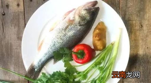 宝宝辅食吃什么好?辅食添加“526法则”,让宝宝营养好身体棒!