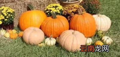 宝宝辅食吃什么好?辅食添加“526法则”,让宝宝营养好身体棒!