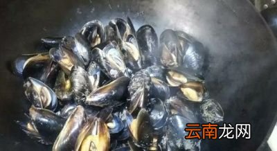 海虹与海蛎子谁的营养价值更高是否相差无几