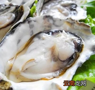 个问题哪种性比价更高