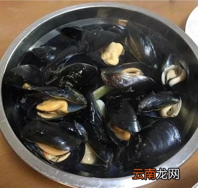 个问题哪种性比价更高