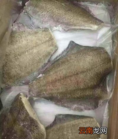鲽鱼是什么为什么大多地方都是卖鱼头的居多
