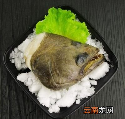 鲽鱼是什么为什么大多地方都是卖鱼头的居多