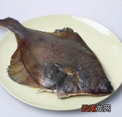 为什么鲽鱼身子不能吃
