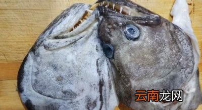 为什么鲽鱼身子不能吃了