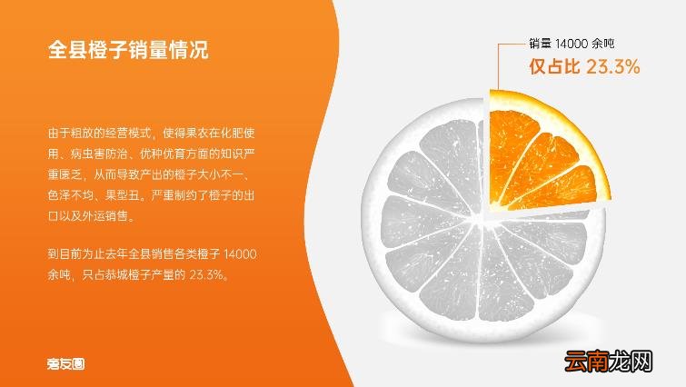 PPT生成图标的步骤和过程 图表制作软件有哪些