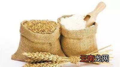 不吃主食到底好不好呢